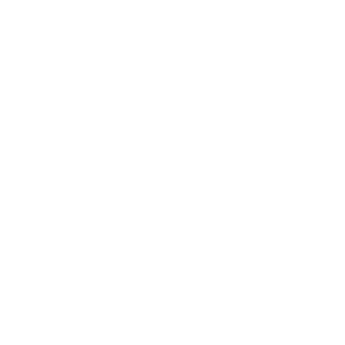 WhyPhy Labs Logo